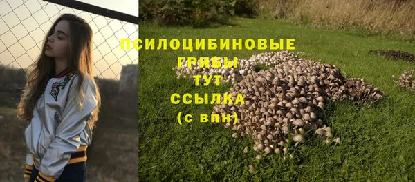 кокаин Алексин