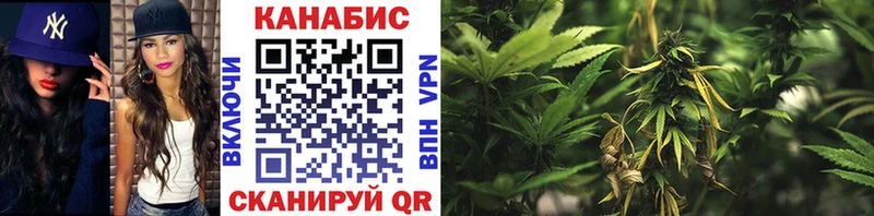 площадка официальный сайт  Шуя  Конопля тримм 